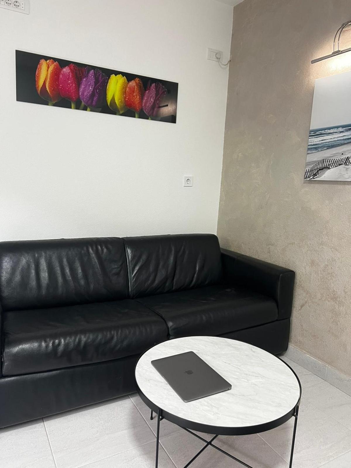 Olive Coast Apartments Herceg Novi Kültér fotó
